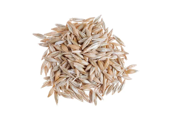 Pile Barley Seeds Grain Front White Background — Stockfoto