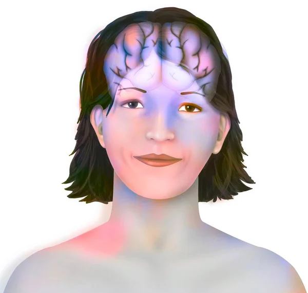 Brain Right Left Cerebral Hemispheres Woman Face — Stok fotoğraf