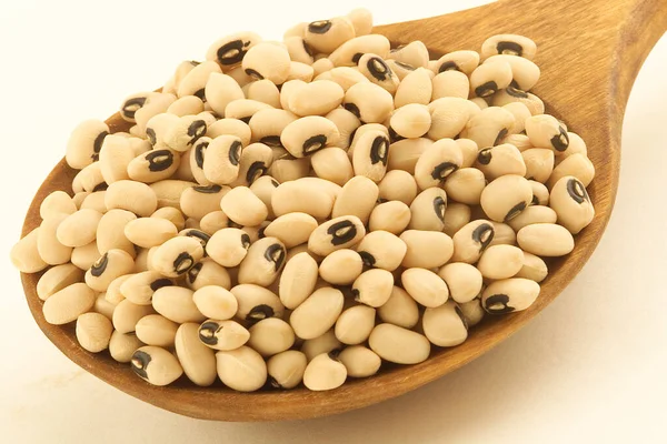 White Navy Beans Close View — Stock Photo, Image