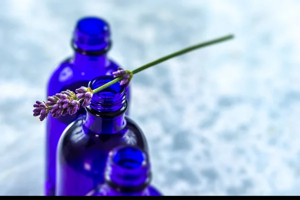 蓝色瓶上的精油和薰衣草花 — 图库照片