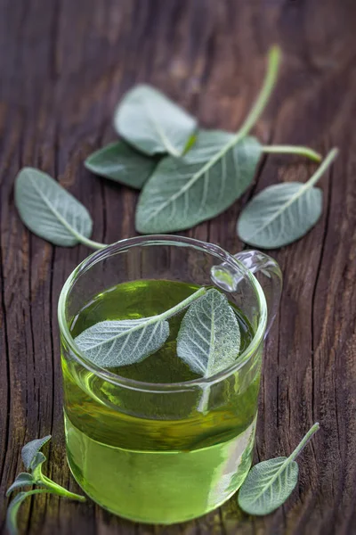 Officinal Sage Salva Officinal Herbal Tea Glass Cup Background Old — Stockfoto
