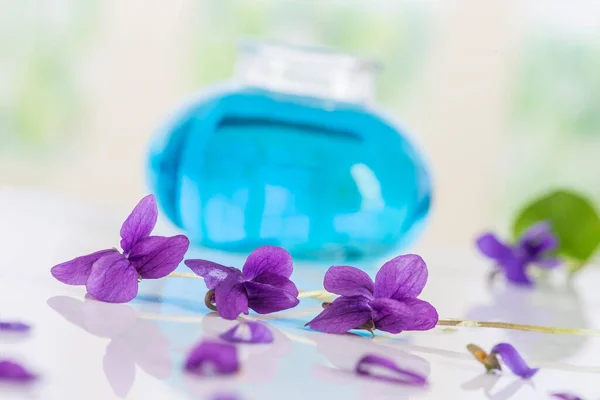 Raw Materials Essential Oils Organic Cosmetics Flowers Glass Bottle — Stockfoto