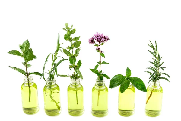 Different Healing Flowers Small Glass Bottles White — Stockfoto