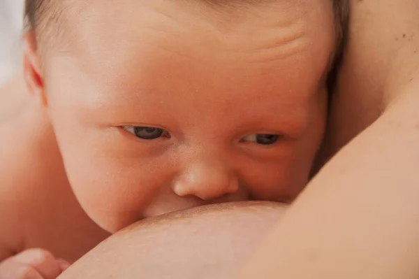 Mother Breast Feeding Week Old Baby — Stockfoto