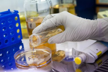 Manufacture of therapeutic vaccines for the treatment of small cell lung cancer.