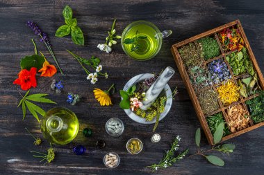 Wooden locker with medicinal plants on dark background. Nasturtium, Lemon balm, Sage, Lemon thyme, Chervil, Borage, Marigold, Sapwood, Fennel, Absinthe, Digestive herbal tea (mixture of Sage, Fennel, Rosemary) and Rosemary.
