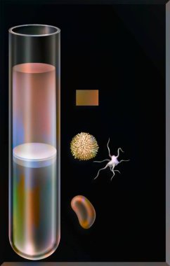 Proportion of the different elements of the blood (plasma, white blood cells, platelets, red blood cells) in a test tube.