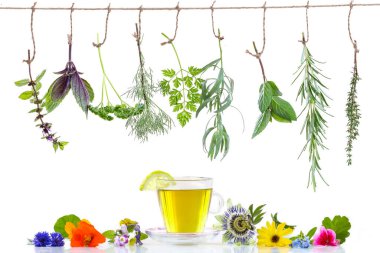 Bitkisel ilaçlar beyaz arka planda izole edilmiş