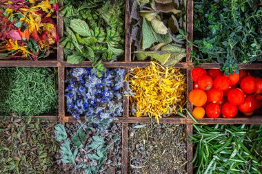 Wooden locker with medicinal plants on dark background. Nasturtium, Lemon balm, Sage, Lemon thyme, Chervil, Borage, Marigold, Sapwood, Fennel, Absinthe, Digestive herbal tea (mixture of Sage, Fennel, Rosemary) and Rosemary.