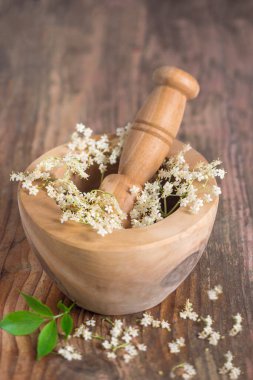 Ahşap bir harç beyaz büyük çiçekler