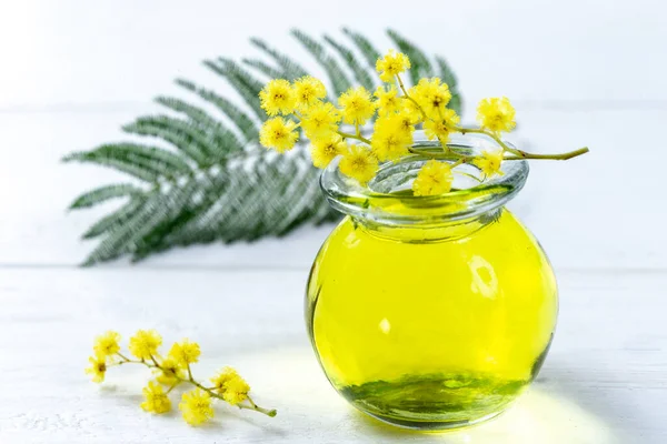 Mimosa Essential Aroma Oil White Background — Stock Fotó