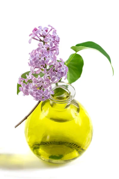 Close Lilac Essential Oil Lilac Flower White Background — Stockfoto