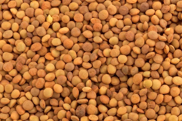 Brown Lentils Close View — Stock Photo, Image
