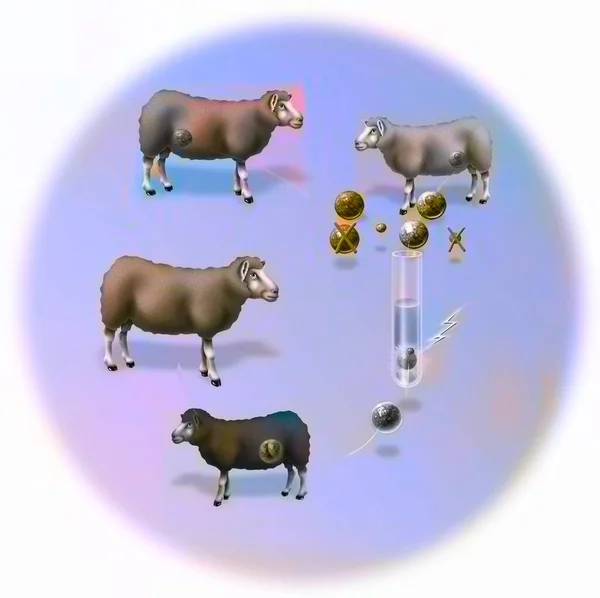 Experiment Vertical Reproductive Cloning Goat Dolly — Fotografia de Stock