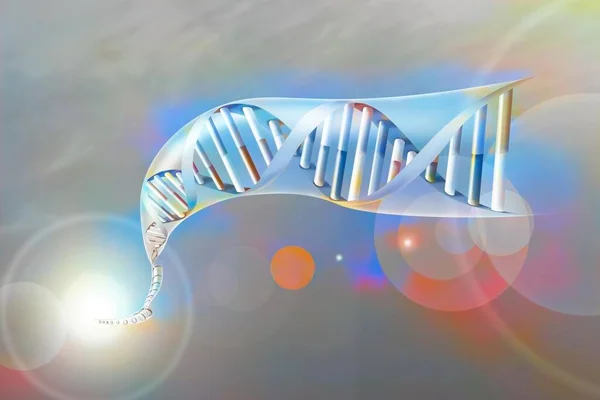 Double Helix Dna Nucleotide Bases Adenine Thymine Cytosine Guanine — Zdjęcie stockowe