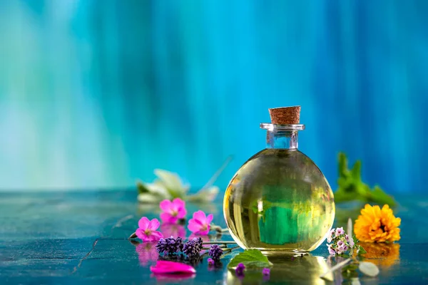 Bottle Essential Oil Surrounded Medicinal Plants Blue Background — Stockfoto