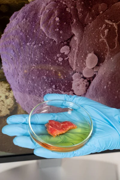 Hand Presenting Meat Sample Obtained Stem Cells Front Computer Screen — Foto Stock