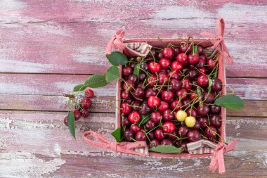 food cherry close-up view