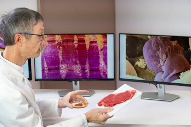 Researcher presenting meat created from stem cells in front of computer screens with medical images of muscle and stem cell.