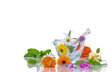 Flowers and medicinal plants around a glass mortar on a white background.