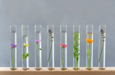 Test tüplerindeki çiçekler.