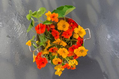 Aromatic herbs and spices from garden, healthy cooking from above