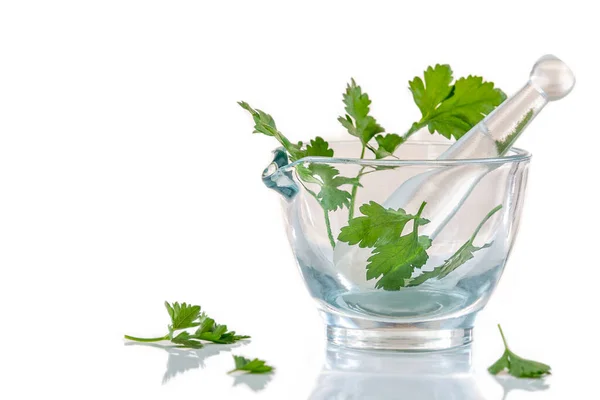 Image Parsley Leaves Glass Mortar Isolated White Background — Stockfoto