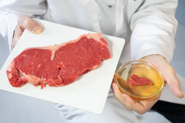 Production Beef Stem Cells — Foto Stock