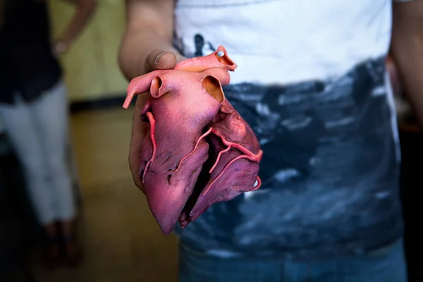 Reconstruction Patient Images Printed Heart — Stockfoto