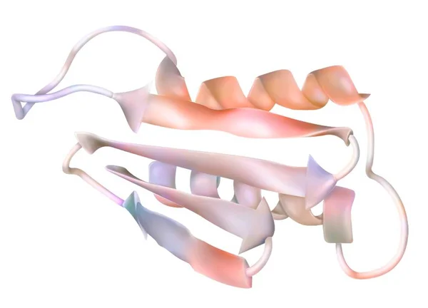 Drawing Prion Infectious Protein Encephalopathy Agent — Fotografia de Stock