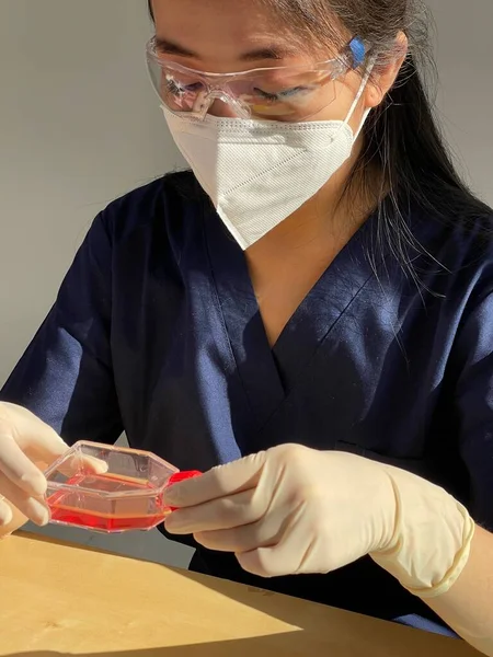 Woman Research Laboratory Observing Flask Cell Culture — Stock Photo, Image