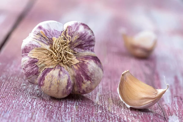 New Harvest French Big Pink Violet Garlic Braid France Pink — Fotografia de Stock