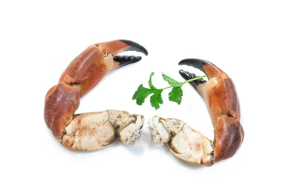 Two Cooked Pincers Crab Isolated White Background — Fotografia de Stock