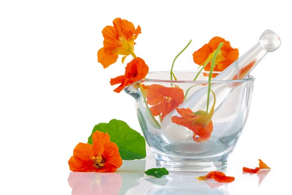 Image Nasturtiums Glass Mortar Isolated White Background — Stock Photo, Image