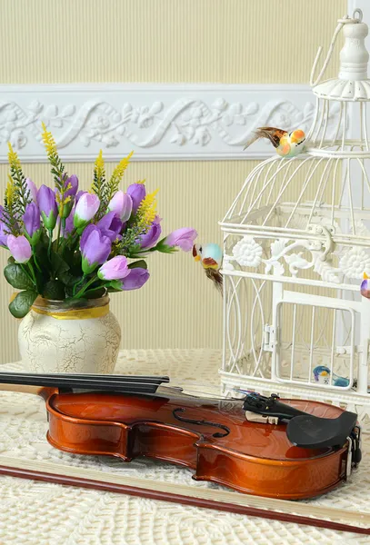 Violino sul tavolo — Foto Stock