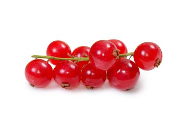 Beyaz arkaplanda ayrık kırmızı frenk üzümü dalı