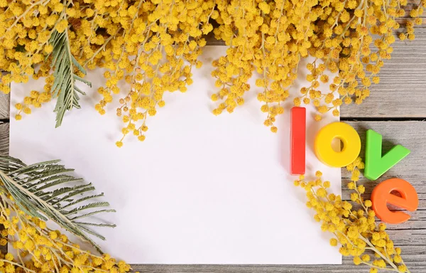 Желтая мимоза на деревянной доске — стоковое фото
