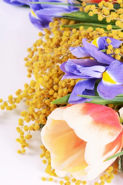 Spring flowers  isolated on white background — Stock Photo, Image