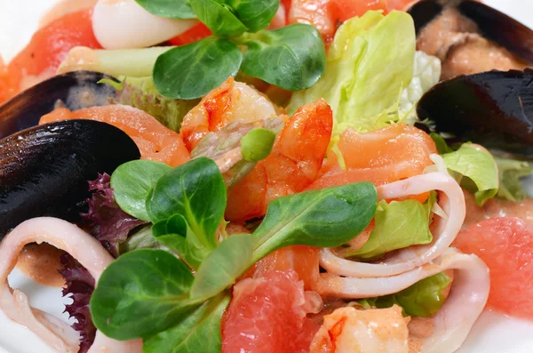 Salada de frutos do mar e um salmão — Fotografia de Stock