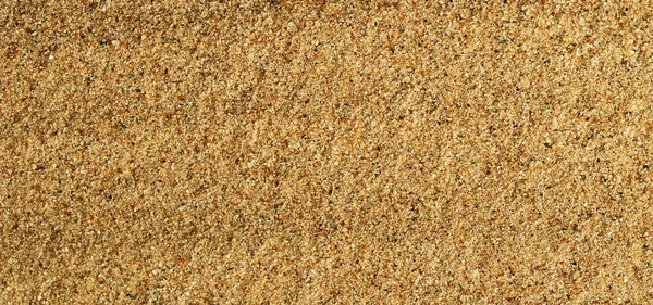 Sand texture as a background — Stock Photo, Image