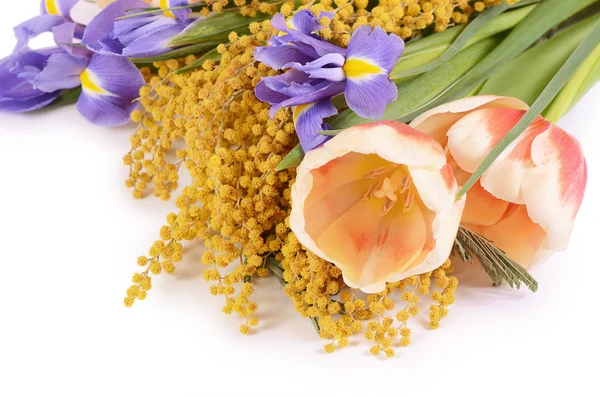 Frühlingsblumen isoliert auf weißem Hintergrund — Stockfoto