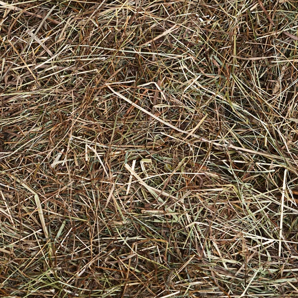 Feno seco como pano de fundo — Fotografia de Stock