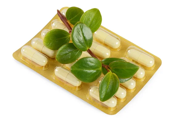 Tabletter med en växt på nära håll — Stockfoto