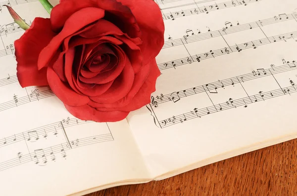 The rose on notebooks with notes — Stock Photo, Image