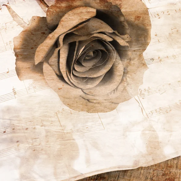 Роза на блокнотах с записями — стоковое фото