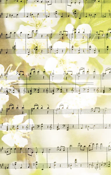 Music sheet against flowering tree- background — Stock Photo, Image