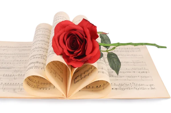 The rose on notebooks with notes — Stock Photo, Image