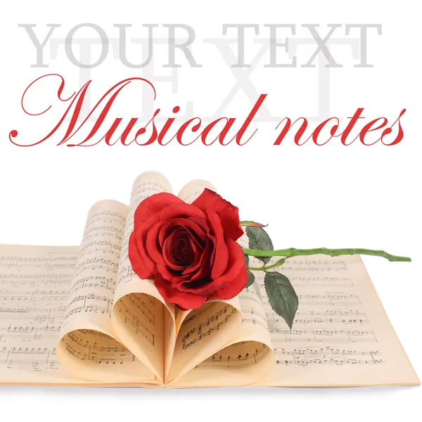 The rose on notebooks with notes — Stock Photo, Image