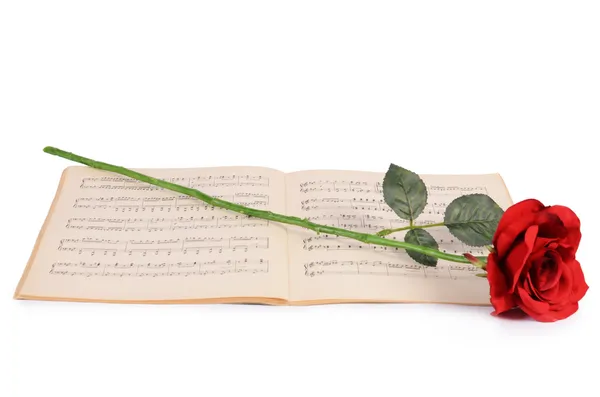 Růže na noteboocích s poznámkami — Stock fotografie