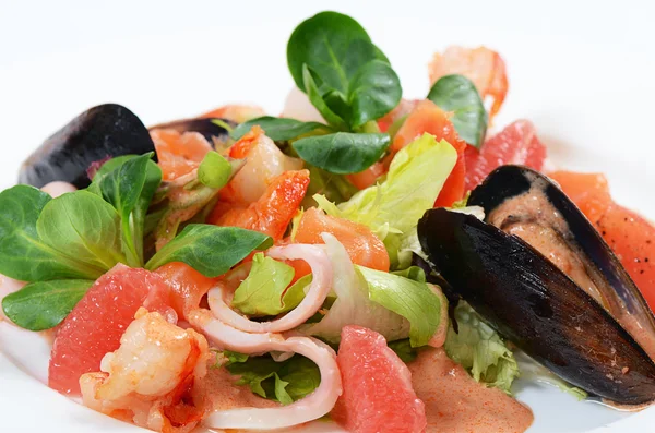 Salade van zeevruchten en een zalm — Stockfoto